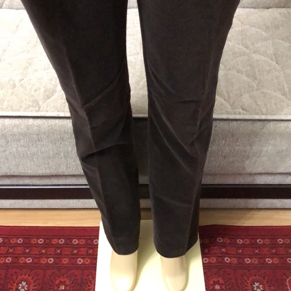 🌺🌺 TWO NWT ANN TAYLOR VELVET PANTS SIZE 8 - Picture 5 of 16